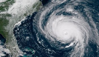 National Day of Action: Five Post-Hurricane Actions